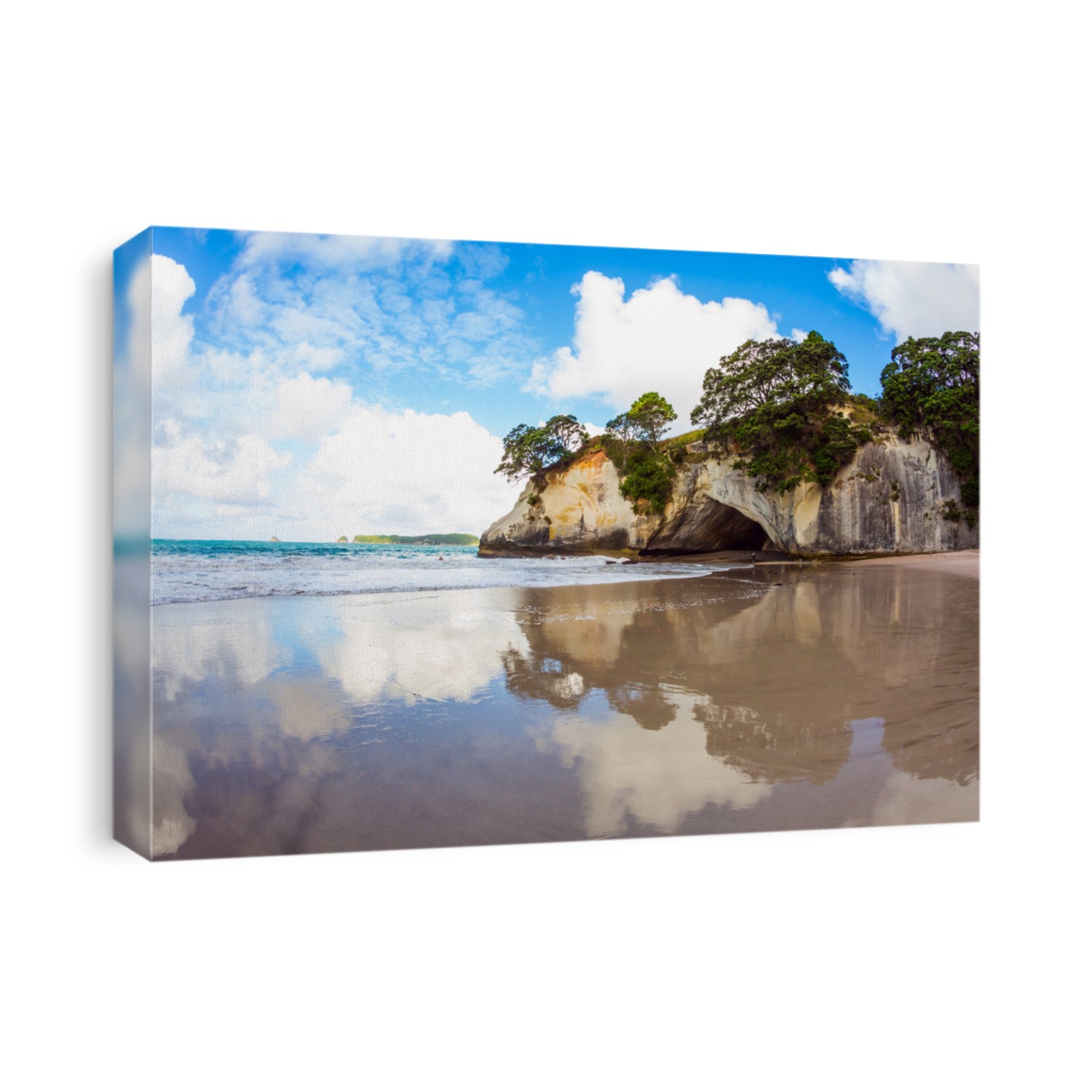 Cathedral Cove on the North Island of New Zealand. Grass and trees grow on picturesque huge rocks. Mirror reflections of clouds in wet sand. The concept of exotic, ecological and photo tourism