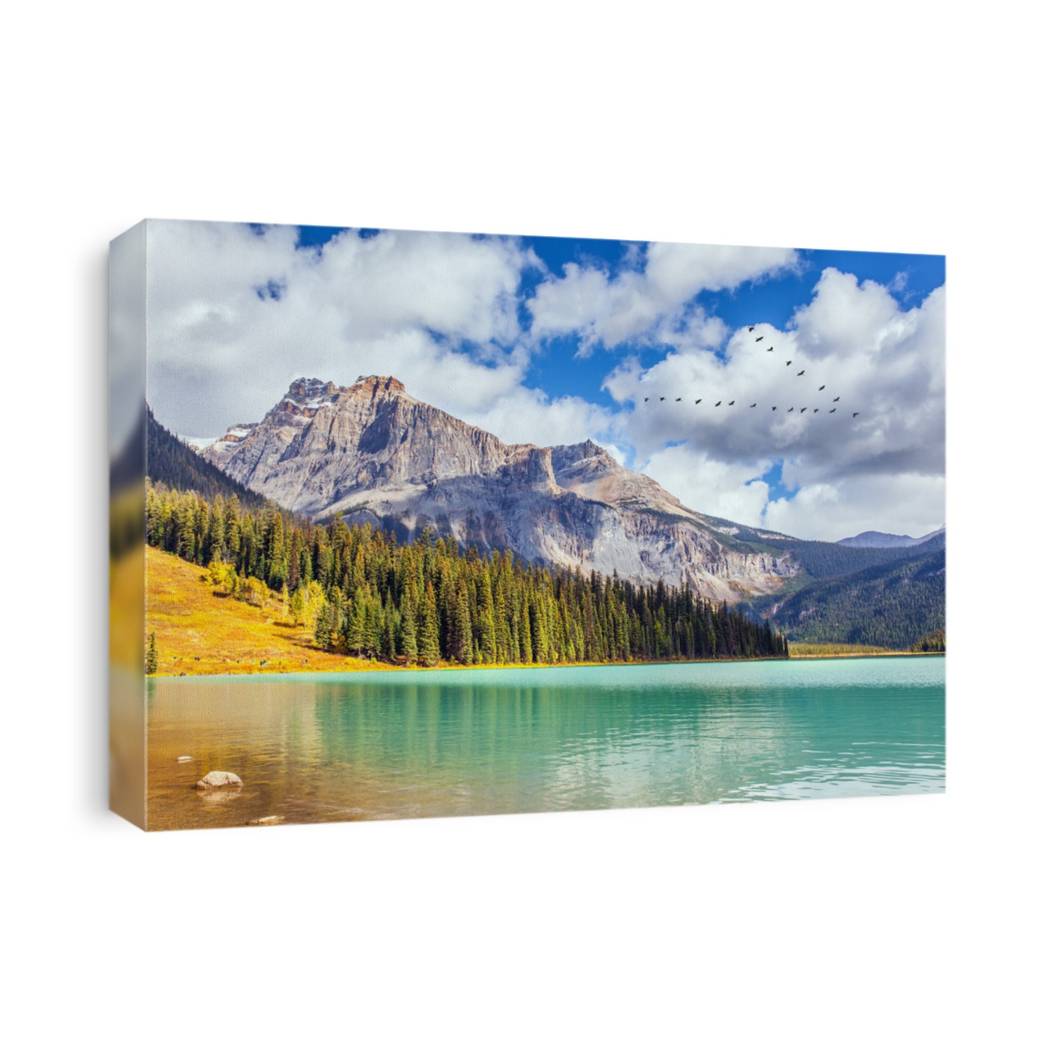 Magnificent Emerald Lake. Picturesque huge lake in the Canadian Rockies. Early morning. Coniferous forest and mountain peaks surround the lake with azure water.